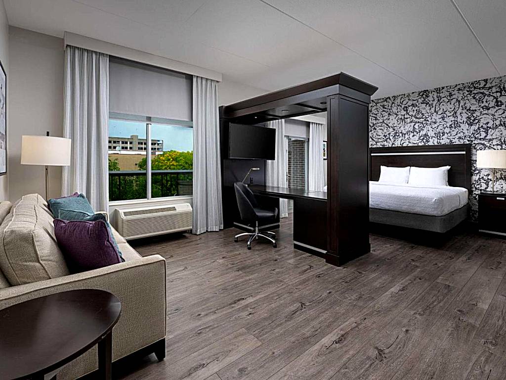 Hampton Inn & Suites Chattanooga Downtown: King Suite