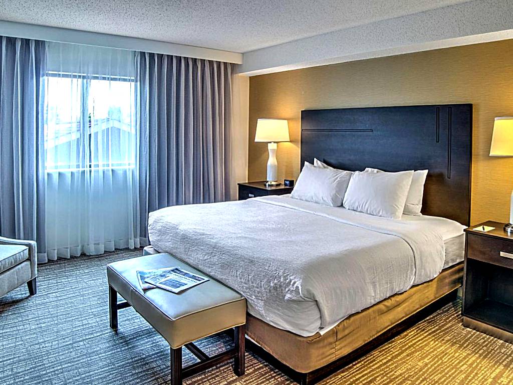 Embassy Suites by Hilton Indianapolis North: King Suite - Non-Smoking