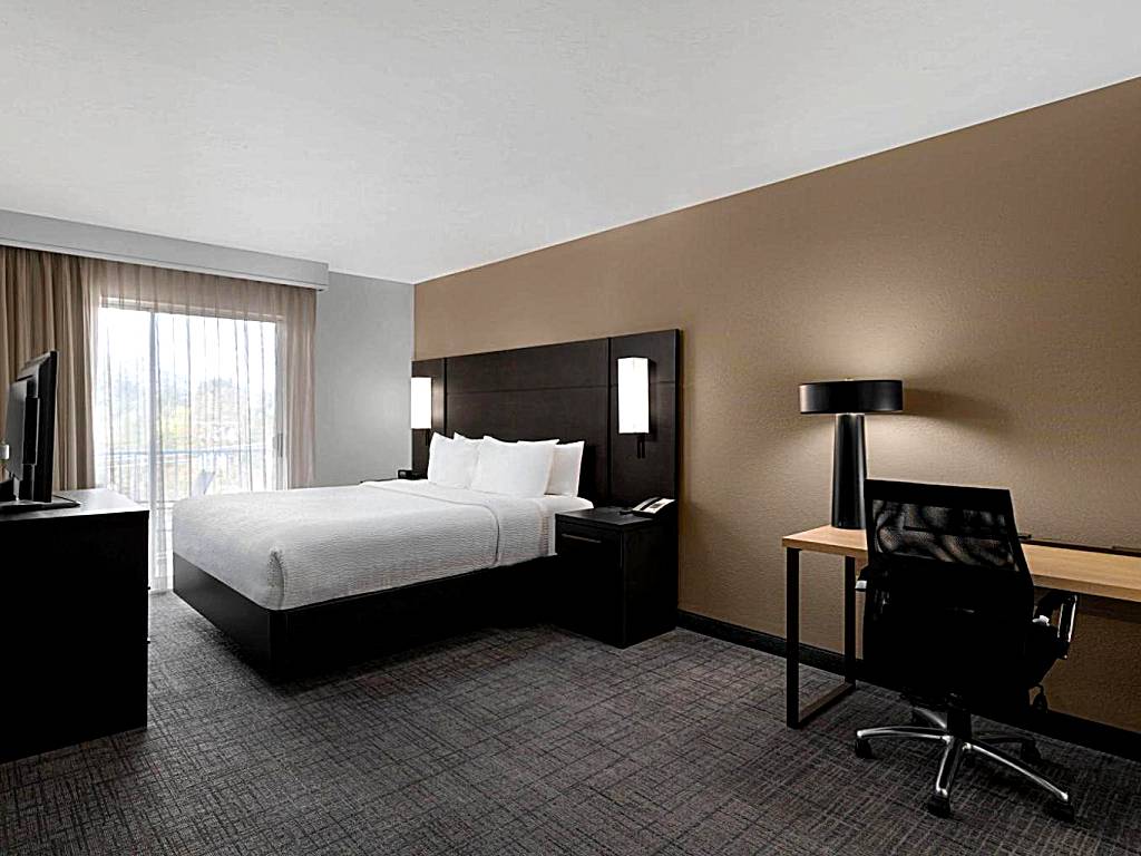 Residence Inn by Marriott Salt Lake City Downtown: Queen Studio