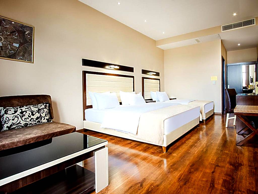 Hotel Orion Tbilisi: Standard Triple Room