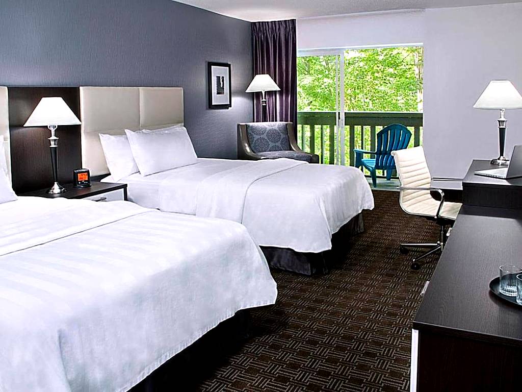 Toronto Don Valley Hotel and Suites: Deluxe Double Room with Fridge & Microwave